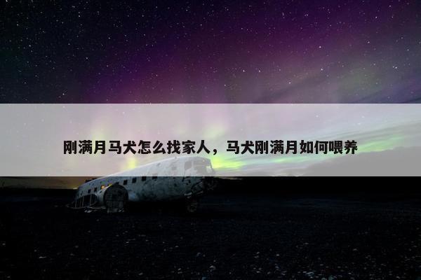 刚满月马犬怎么找家人，马犬刚满月如何喂养