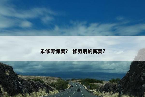 未修剪博美？ 修剪后的博美？