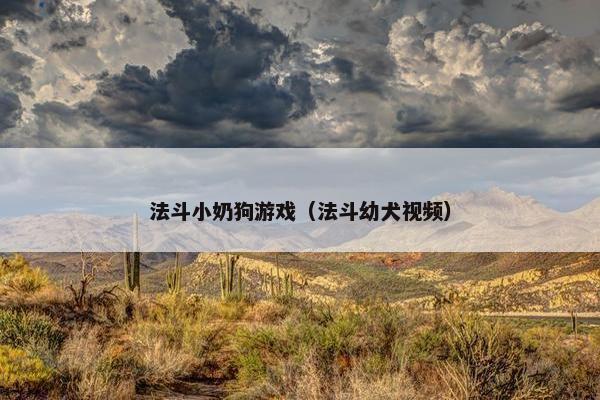 法斗小奶狗游戏（法斗幼犬视频）