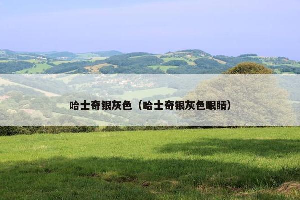 哈士奇银灰色（哈士奇银灰色眼睛）
