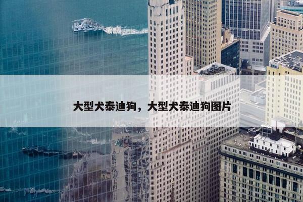 大型犬泰迪狗，大型犬泰迪狗图片
