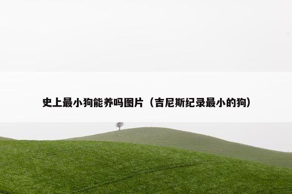 史上最小狗能养吗图片（吉尼斯纪录最小的狗）