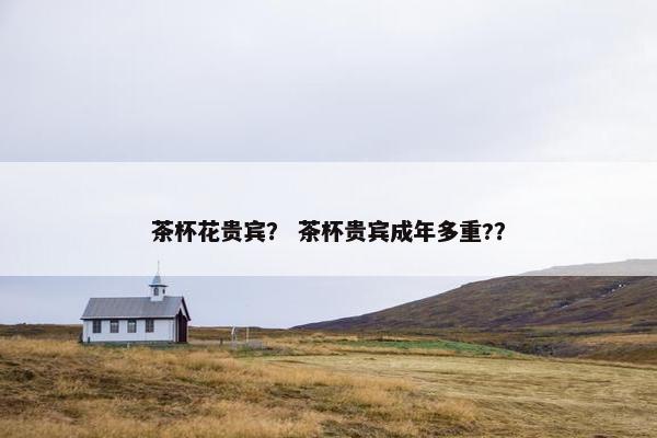 茶杯花贵宾？ 茶杯贵宾成年多重?？
