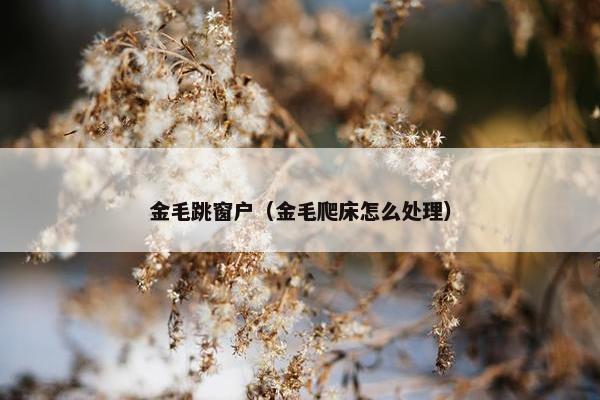 起来
