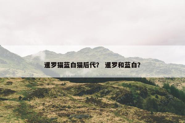 暹罗猫蓝白猫后代？ 暹罗和蓝白？