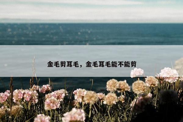 金毛剪耳毛，金毛耳毛能不能剪