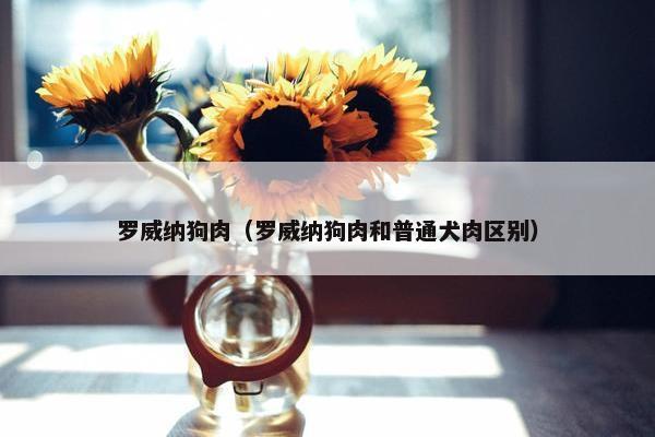 罗威纳狗肉（罗威纳狗肉和普通犬肉区别）