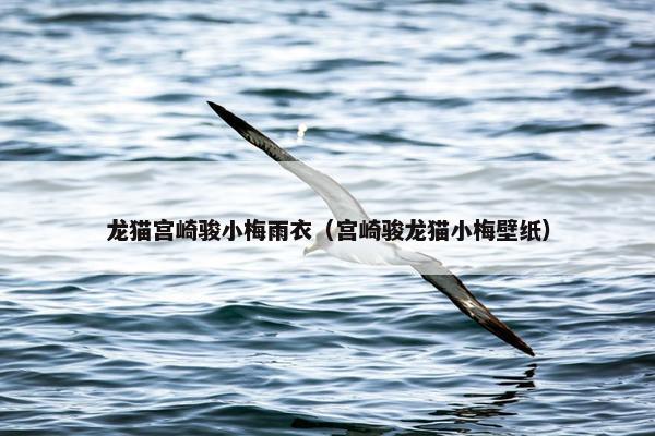 龙猫宫崎骏小梅雨衣（宫崎骏龙猫小梅壁纸）