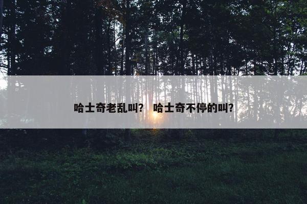 哈士奇老乱叫？ 哈士奇不停的叫？