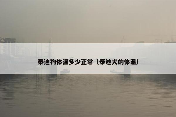 泰迪狗体温多少正常（泰迪犬的体温）