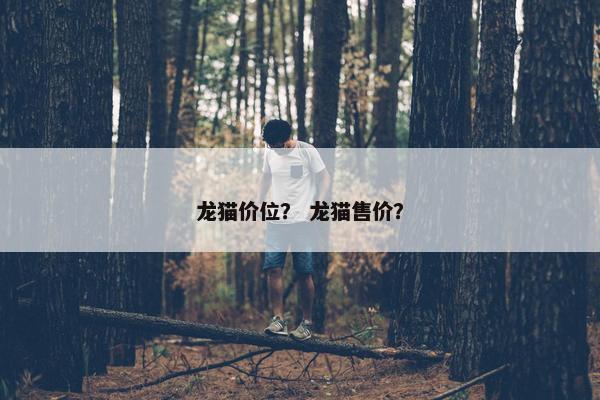 龙猫 第9页