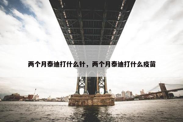 泰迪 第10页