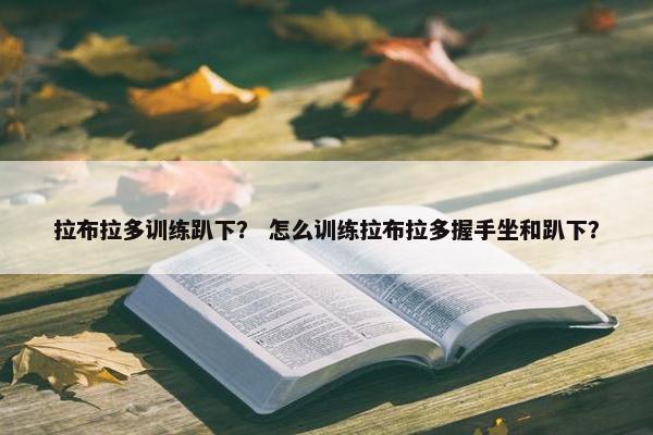 给予
