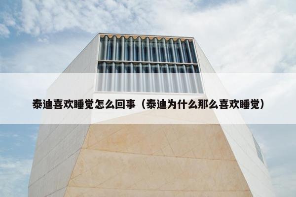 泰迪喜欢睡觉怎么回事（泰迪为什么那么喜欢睡觉）