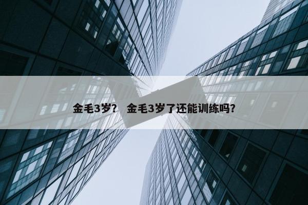 金毛3岁？ 金毛3岁了还能训练吗？