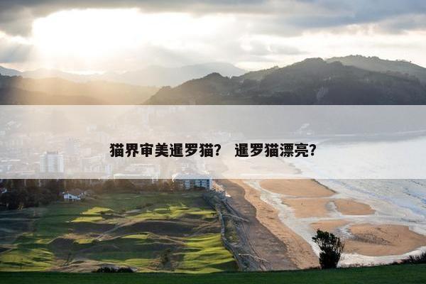 猫界审美暹罗猫？ 暹罗猫漂亮？