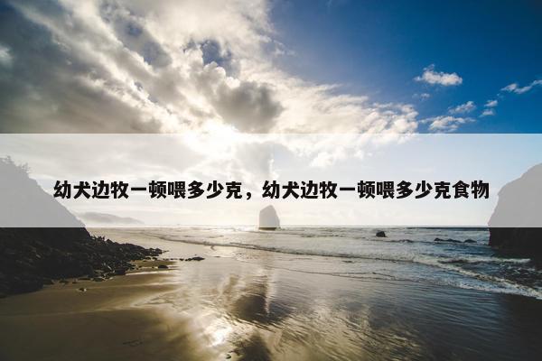 幼犬边牧一顿喂多少克，幼犬边牧一顿喂多少克食物