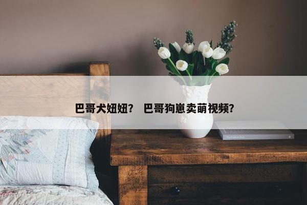 巴哥犬妞妞？ 巴哥狗崽卖萌视频？