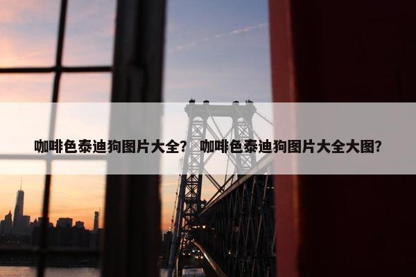 咖啡色泰迪狗图片大全？ 咖啡色泰迪狗图片大全大图？