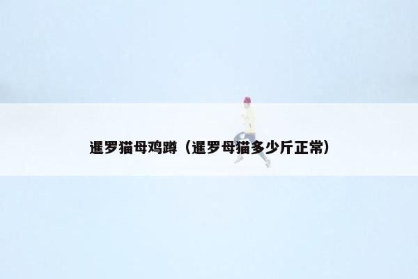 暹罗 第7页