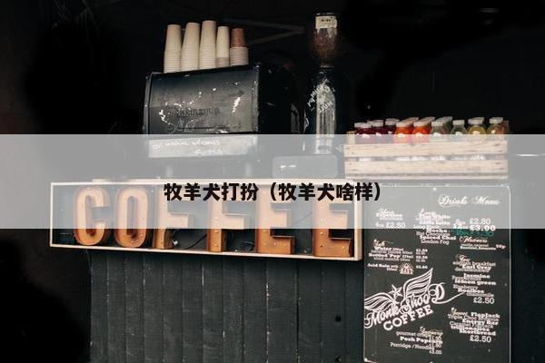 牧羊犬打扮（牧羊犬啥样）