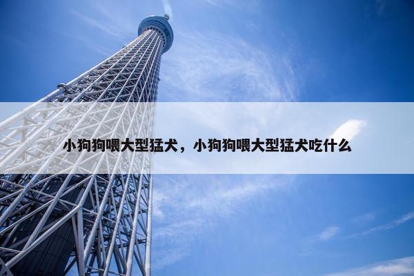 小狗狗喂大型猛犬，小狗狗喂大型猛犬吃什么