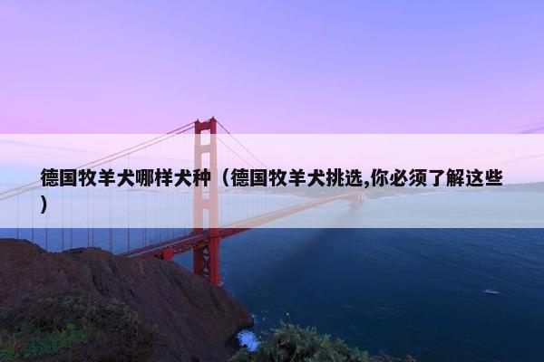 德国牧羊犬哪样犬种（德国牧羊犬挑选,你必须了解这些）