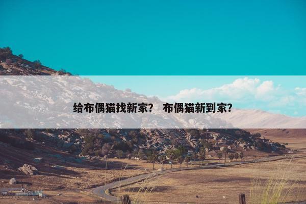 给布偶猫找新家？ 布偶猫新到家？
