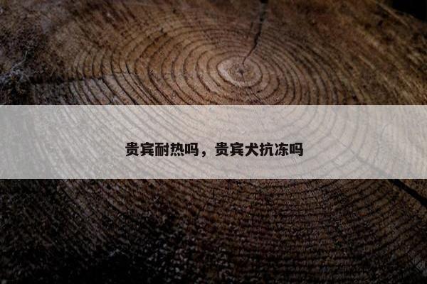 毛质
