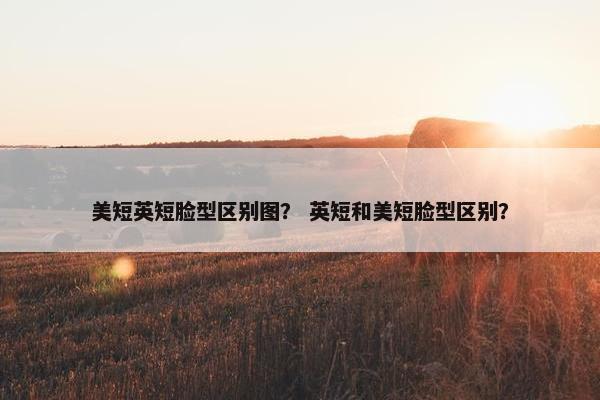 美短英短脸型区别图？ 英短和美短脸型区别？