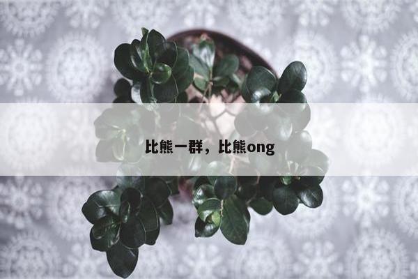 比熊一群，比熊ong