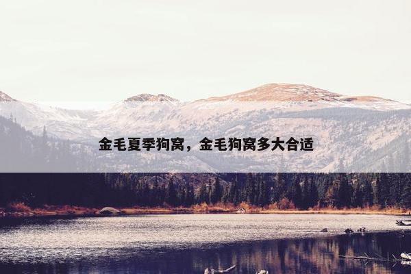 金毛夏季狗窝，金毛狗窝多大合适