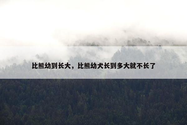 比熊幼到长大，比熊幼犬长到多大就不长了