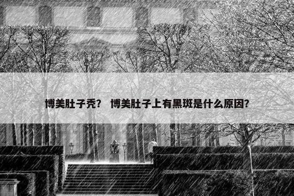 博美肚子秃？ 博美肚子上有黑斑是什么原因？