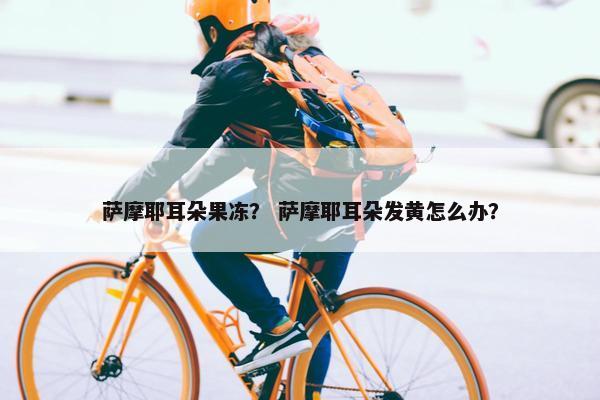 萨摩耶耳朵果冻？ 萨摩耶耳朵发黄怎么办？