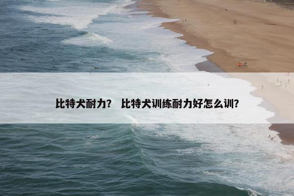 耐力