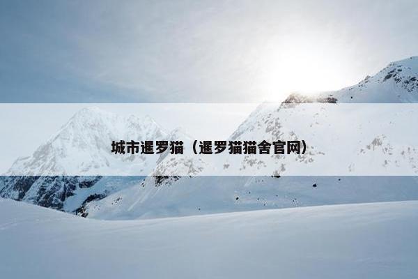 城市暹罗猫（暹罗猫猫舍官网）