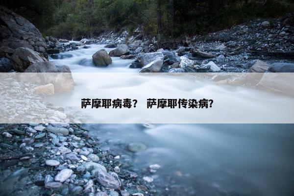 萨摩耶病毒？ 萨摩耶传染病？