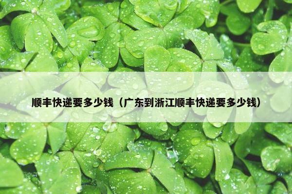 顺丰快递要多少钱（广东到浙江顺丰快递要多少钱）