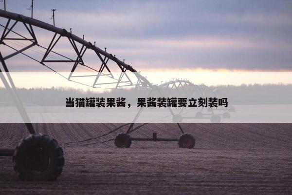 当猫罐装果酱，果酱装罐要立刻装吗