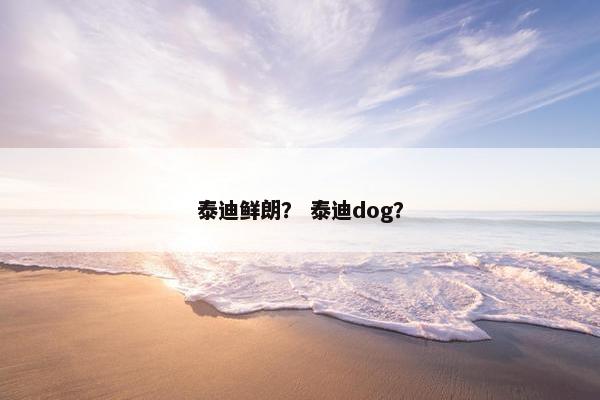 泰迪鲜朗？ 泰迪dog？