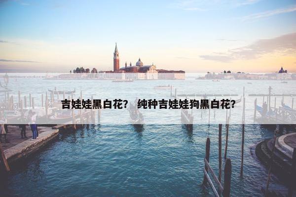 吉娃娃黑白花？ 纯种吉娃娃狗黑白花？