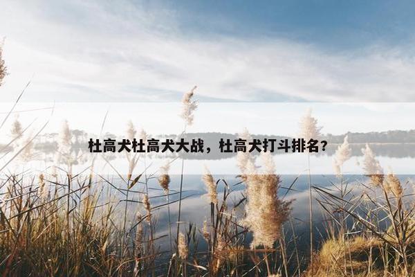 杜高犬杜高犬大战，杜高犬打斗排名?