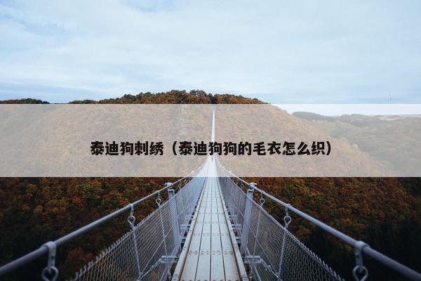 泰迪狗刺绣（泰迪狗狗的毛衣怎么织）