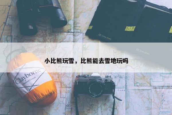 小比熊玩雪，比熊能去雪地玩吗