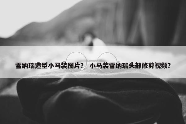 雪纳瑞造型小马装图片？ 小马装雪纳瑞头部修剪视频？