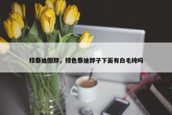 棕泰迪围脖，棕色泰迪脖子下面有白毛纯吗