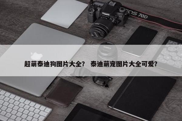 超萌泰迪狗图片大全？ 泰迪萌宠图片大全可爱？