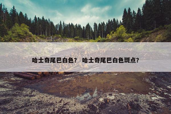 哈士奇尾巴白色？ 哈士奇尾巴白色斑点？