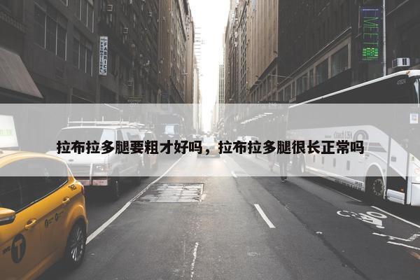 拉布拉多腿要粗才好吗，拉布拉多腿很长正常吗
